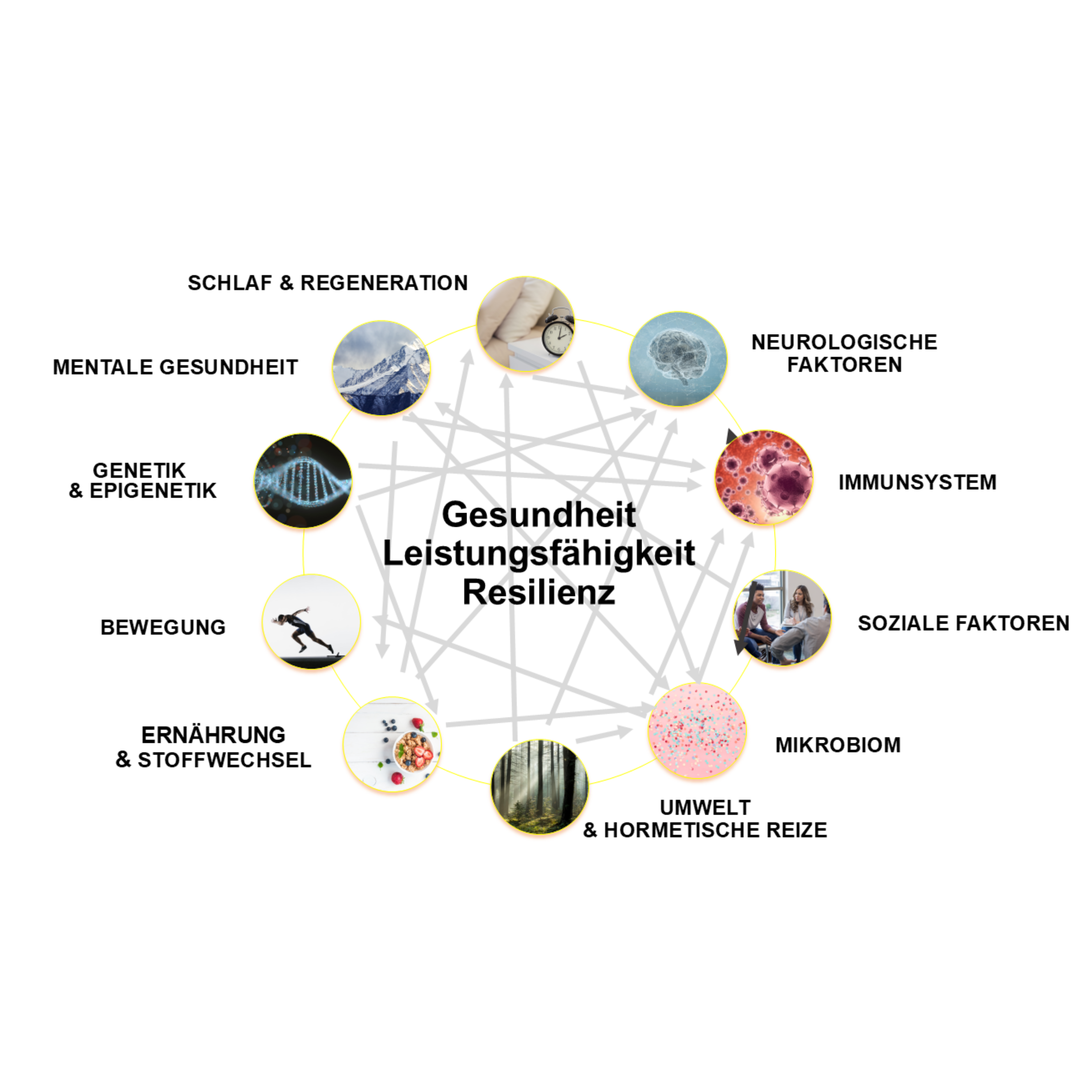 Kopie von Kopie von Kopie von DH Seite Entwicklung(2)